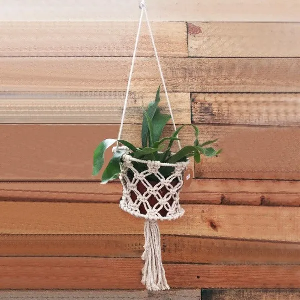 4" Basket Macramet | Air Plant Accessories