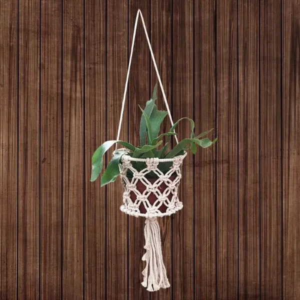 4" Basket Macramet | Air Plant Accessories